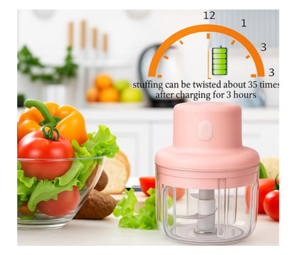 KolorFish Electric Mini Garlic Chopper 250ml Electric Vegetable Chopper